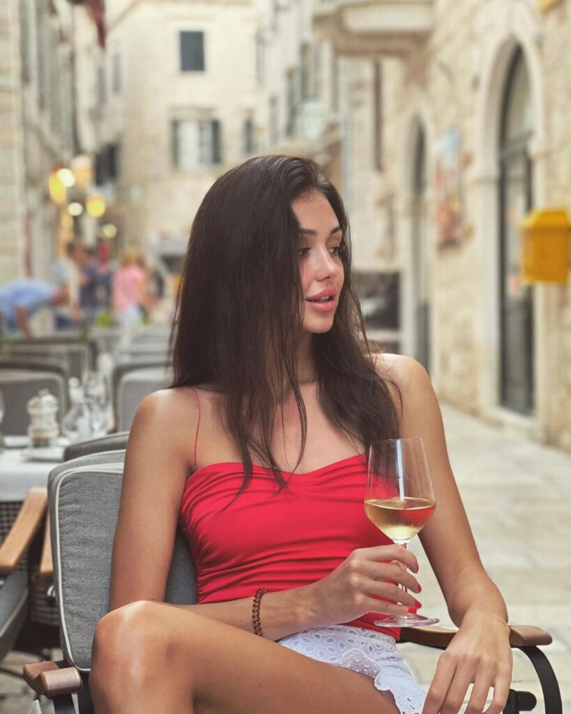 Модель Дальфина Premium Models