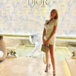 Элитная модель Виалина Drive Models